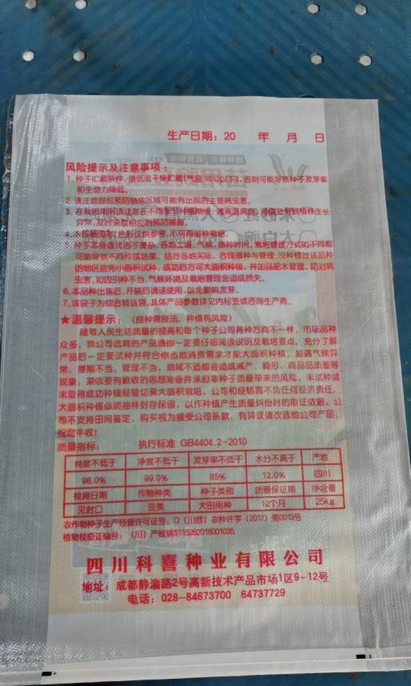 豌豆种子大黑眉豌豆种子生产豌豆苗主要品种嫩脆粗胖