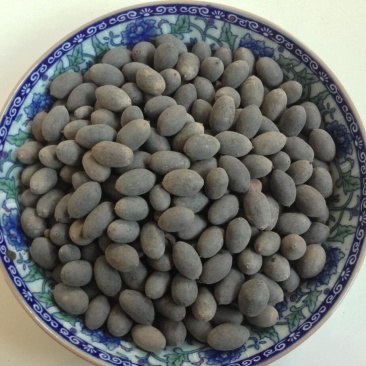 石莲子，双肾子，无硫，冷背药材实拍现货，24小时内发货