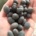 石莲子，双肾子，无硫，冷背药材实拍现货，24小时内发货