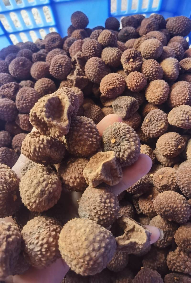 批发荔枝干