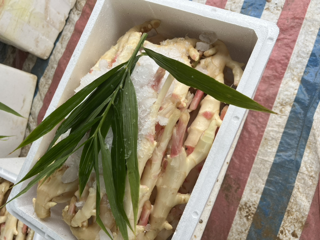 一位孕妇身穿居家围裙,在明亮厨房中用刀小心切着几块新鲜子姜,案板旁放有柠檬片和玻璃罐,似乎正在制作醋泡姜,表情专注而安心,背景为整洁的橱柜和绿植 孕妇在厨房处理子姜