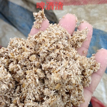 啤酒糟营养丰富，量大从优！
