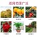 大量元素水溶肥平衡肥3个20硝基硫基不含氯！