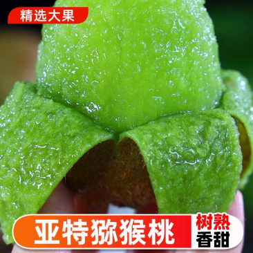 陕西眉县亚特徐香精品大果礼盒装五斤十斤