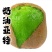 陕西眉县亚特徐香精品大果礼盒装五斤十斤