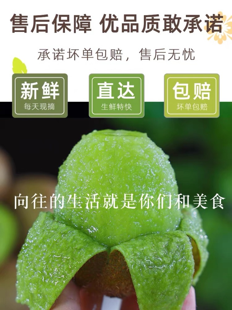 陕西眉县亚特徐香精品大果礼盒装五斤十斤