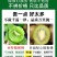 陕西眉县亚特徐香精品大果礼盒装五斤十斤