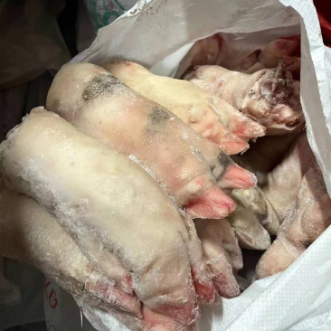 母猪二级蹄，8.75一斤，能用的老板联系5吨货