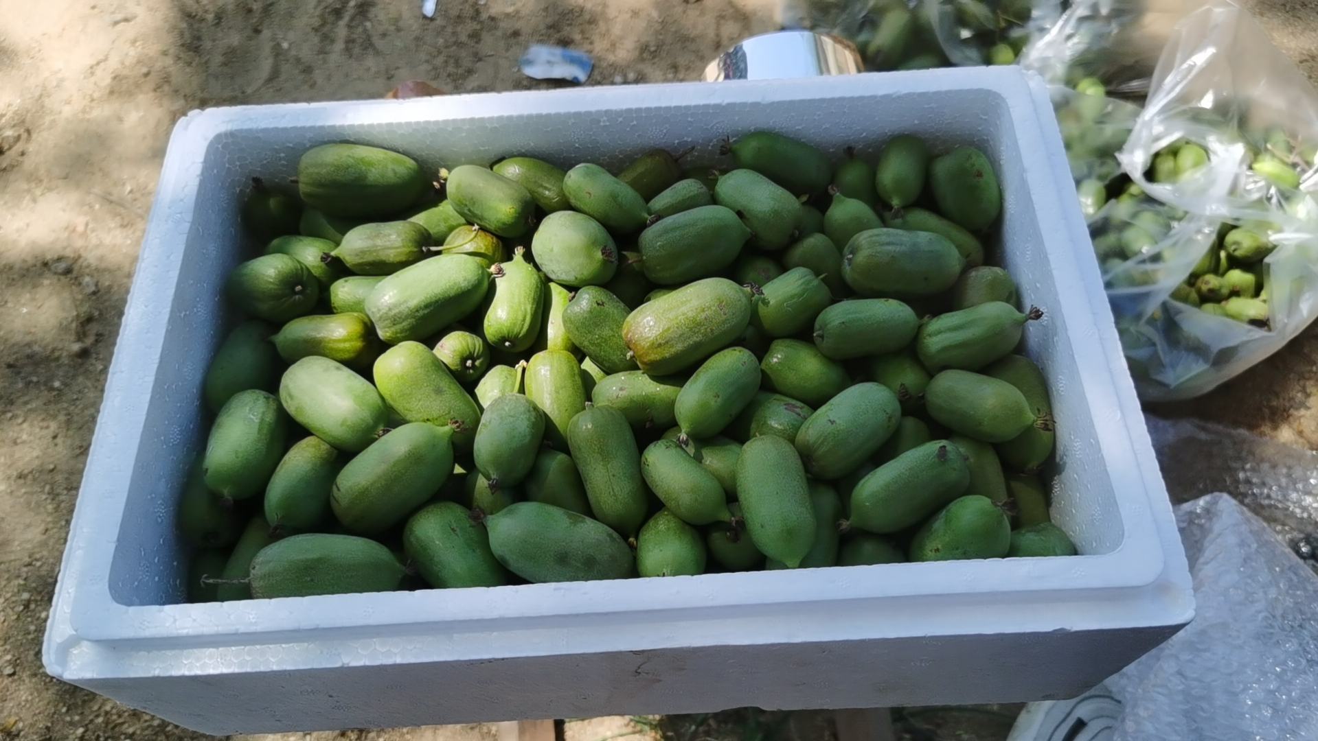 超市冷柜中摆放精致的透明小盒装软枣猕猴桃LD133,每盒约12颗,标签注明‘有机认证’‘可连皮食用’‘源自辽宁丹东’,旁边配有二维码溯源信息和营养成分表,整体陈列整洁高端 软枣猕猴桃LD133在高端商超陈列展示