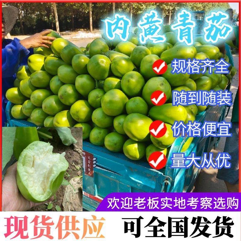《推荐》青茄大量上市，基地直供，质量好价格低，一条龙服务