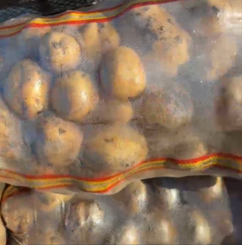 优质土豆基地供应一手货源，价格优惠量大从优