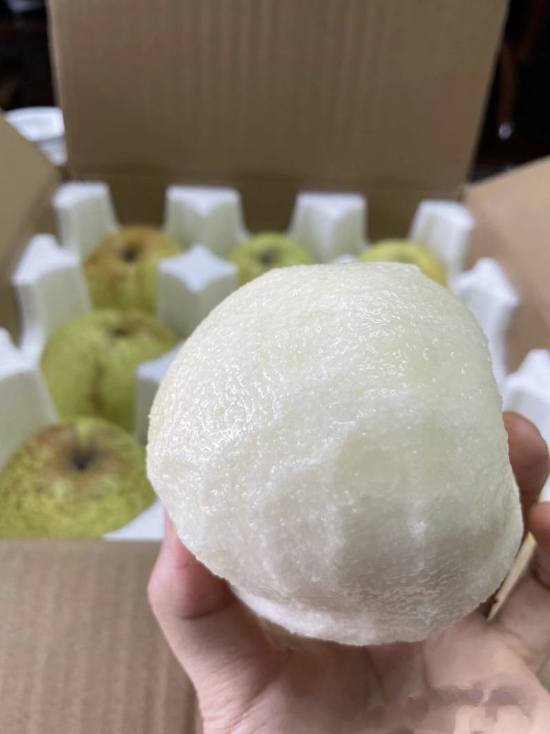 精品酥梨，宁陵酥梨，自产自销，量大从优，价格美丽全国下单