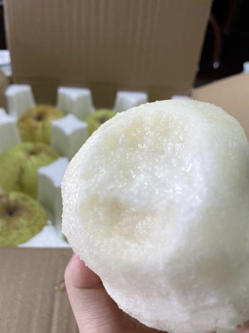 【牛商推荐】精品秋月梨产地直发一手货源全国发货