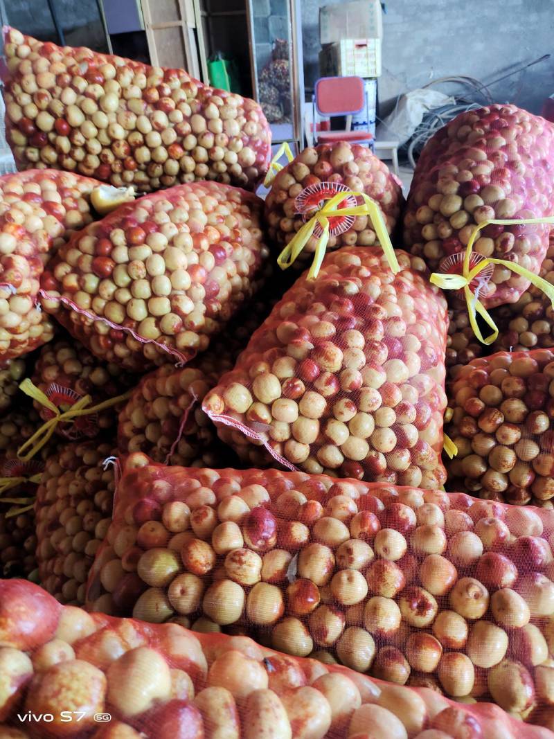 花麻枣