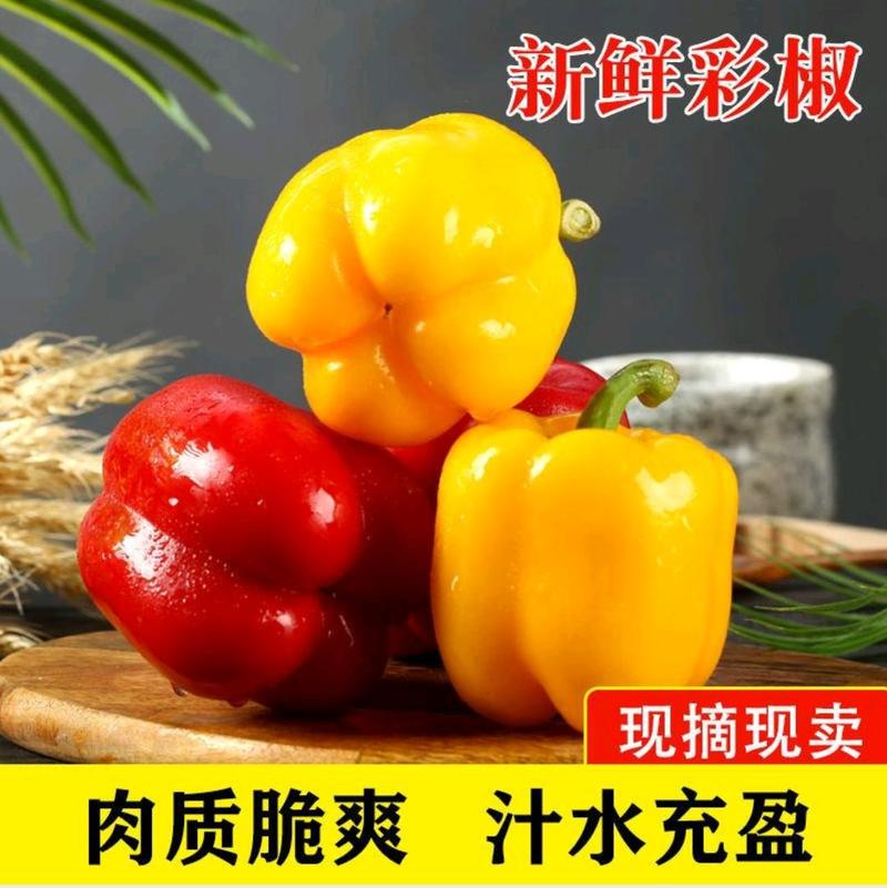 优质红黄五彩甜椒供应超市电商市场团购量大从优欢迎来电