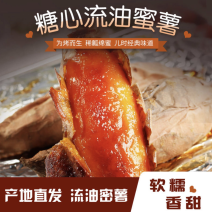 烟薯，烟薯蜜薯，唐山烟薯25香甜软糯，烤薯商超电商落地配