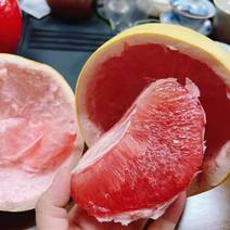 【推荐】梅州大埔蜜柚货源充足产地直发欢迎各位老板订购
