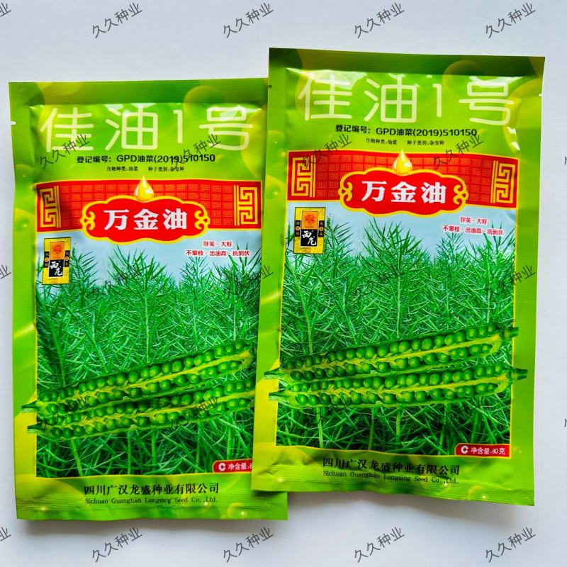 佳油1号万金油油菜种子胖荚大籽油菜籽抗倒伏不窜枝出油高油