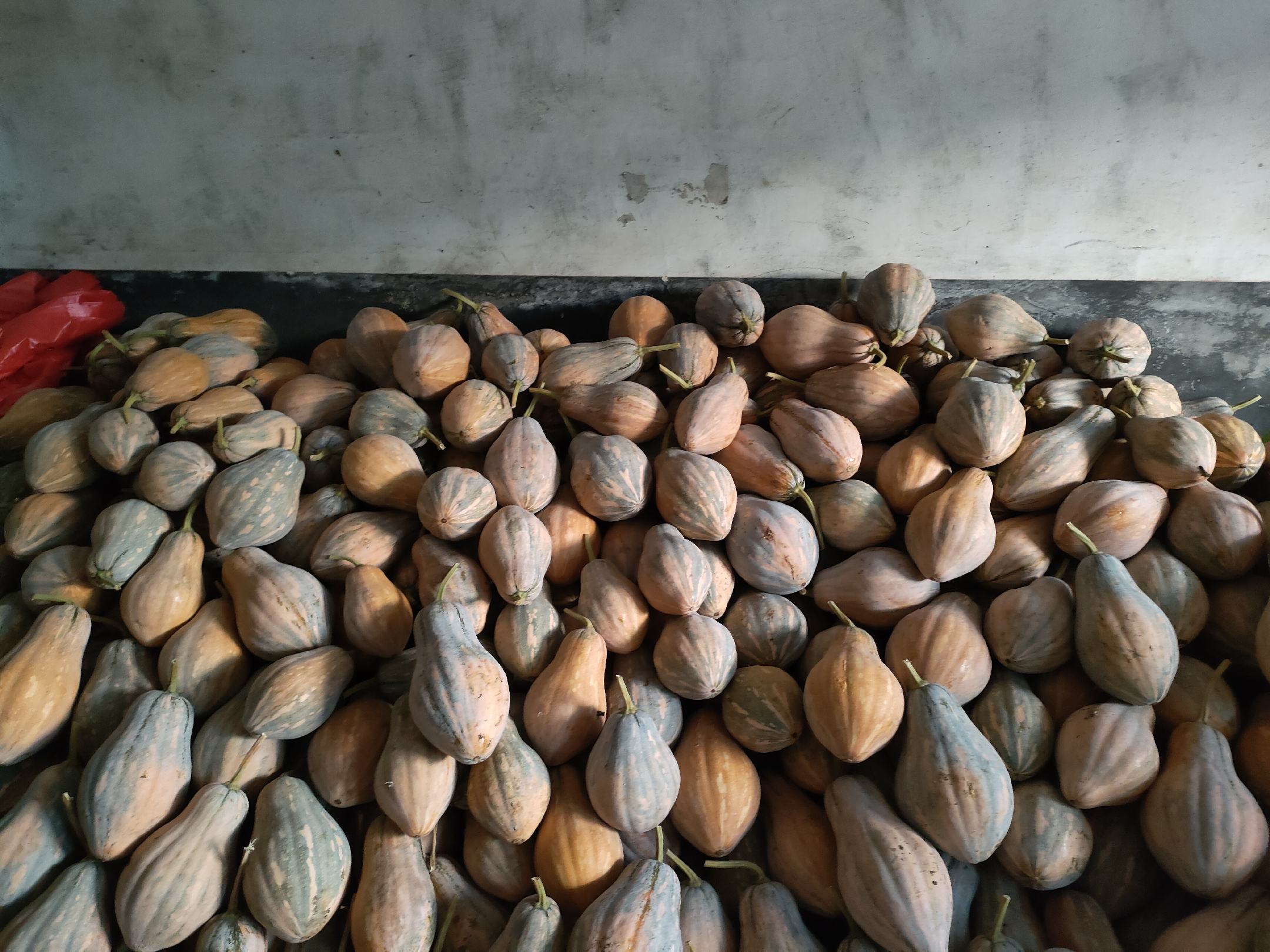 南瓜与皮肤病关系图