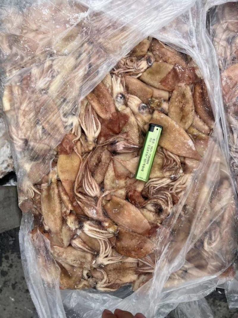 小鱿鱼鲜活海捕冷冻水产新鲜鱿鱼尤鱼整只烧烤批