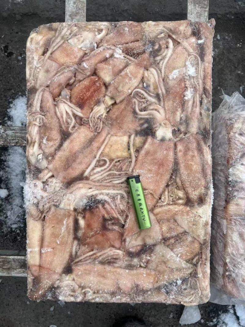 小鱿鱼鲜活海捕冷冻水产新鲜鱿鱼尤鱼整只烧烤批