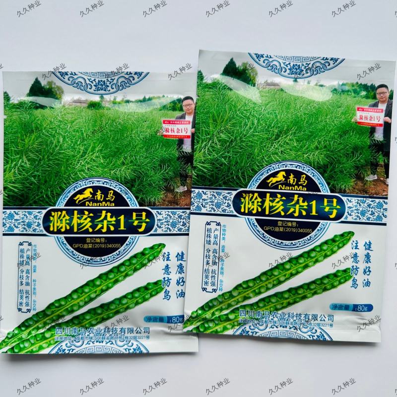 南马滁核杂1号油菜种籽子甘蓝型大籽油菜籽耐寒农家大田秋播