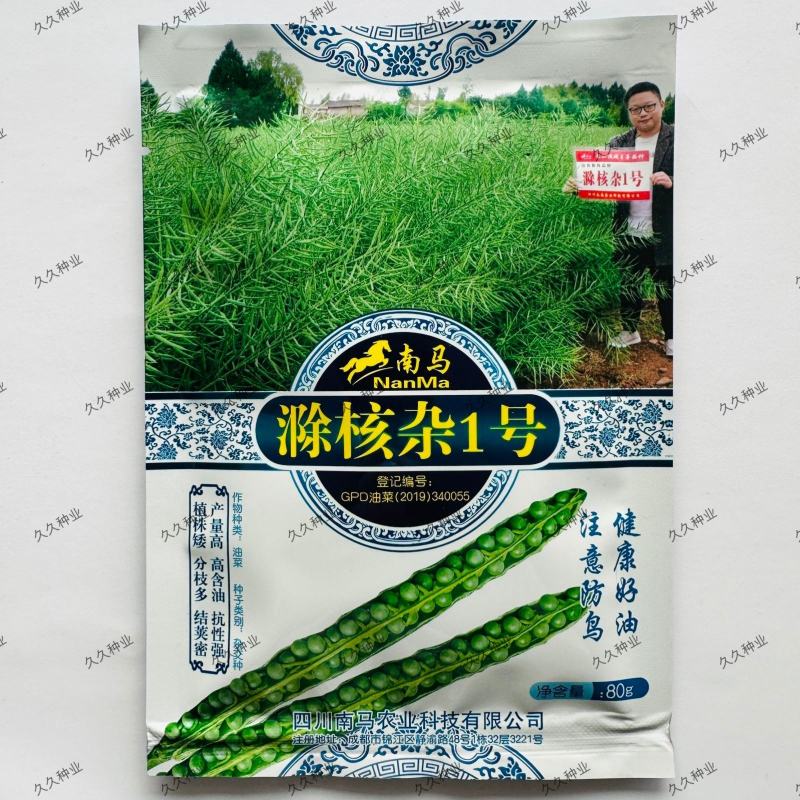 南马滁核杂1号油菜种籽子甘蓝型大籽油菜籽耐寒农家大田秋播
