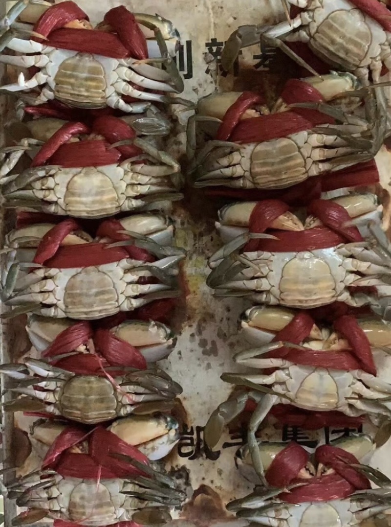 青蟹/膏蟹