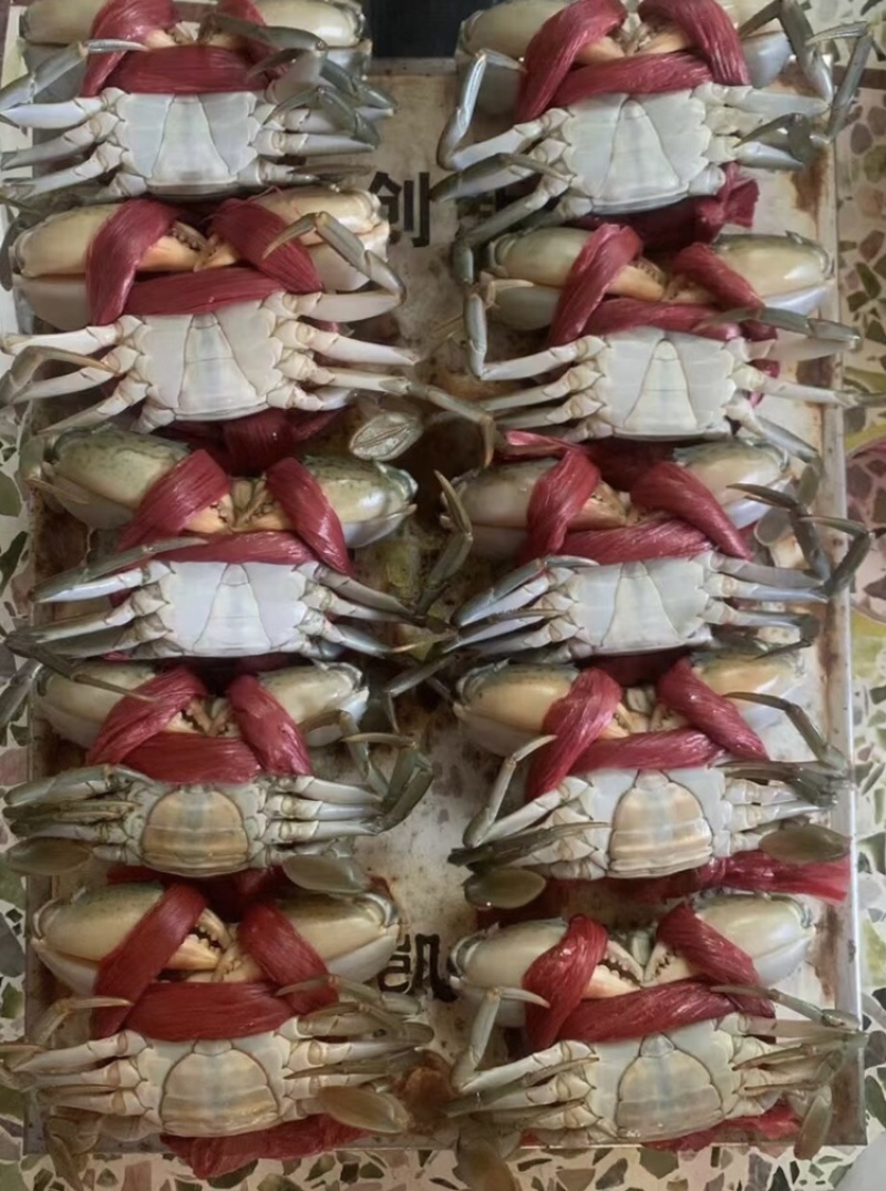 青蟹/膏蟹