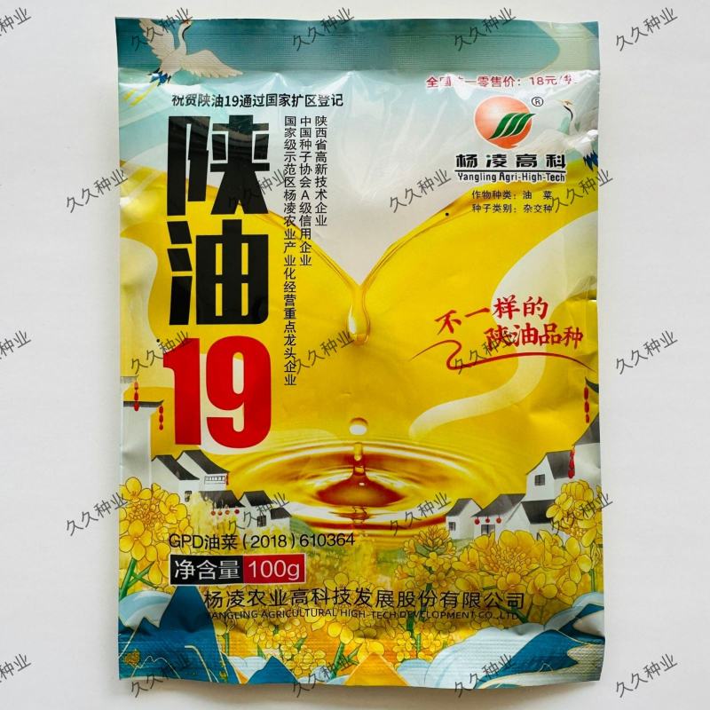 陕油19号油菜籽种子陕西油菜花种籽榨油香非转基因油菜种子