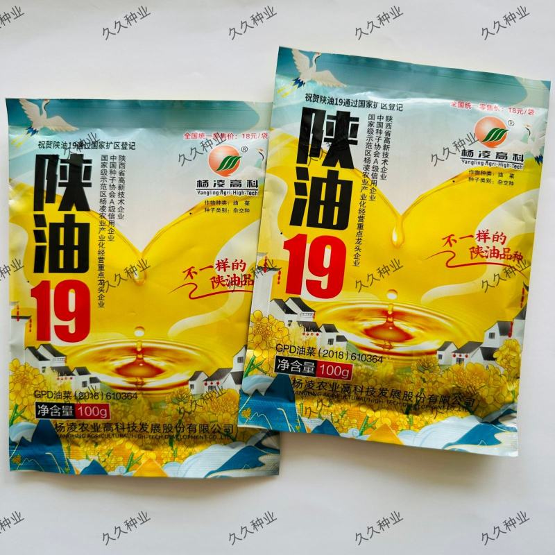 陕油19号油菜籽种子陕西油菜花种籽榨油香非转基因油菜种子