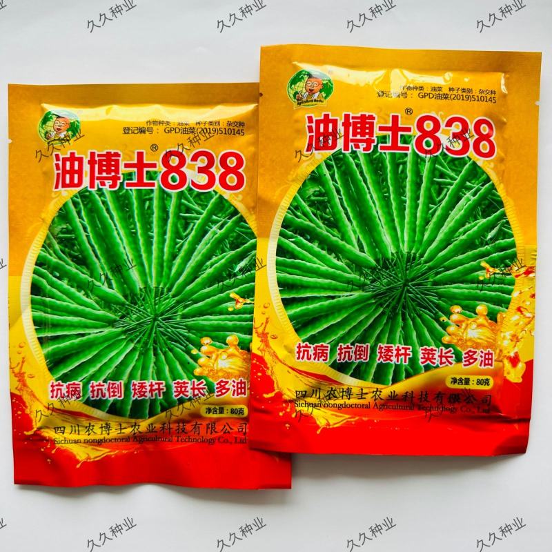 油博士838油菜种子优质抗病强抗倒油菜花种籽矮杆多油油菜