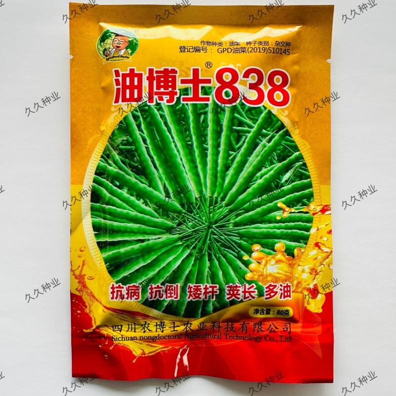 油博士838油菜种子优质抗病强抗倒油菜花种籽矮杆多油油菜