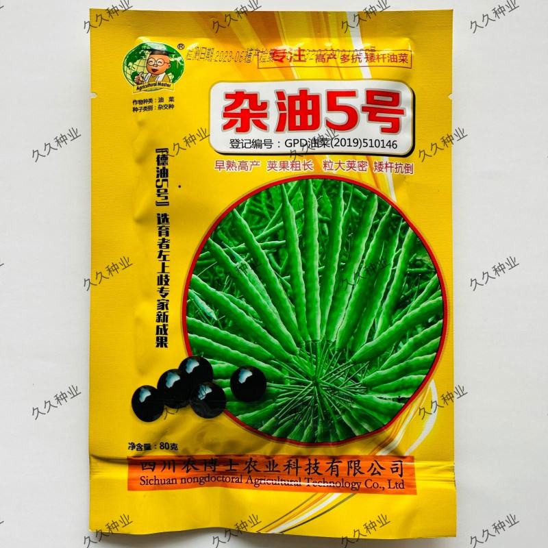 杂油5号油菜种子早熟高产大粒油菜种子四川油菜籽种抗倒耐寒