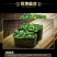 批发价包邮中华海藻，裙带菜，酸甜150g可小量试吃，批发