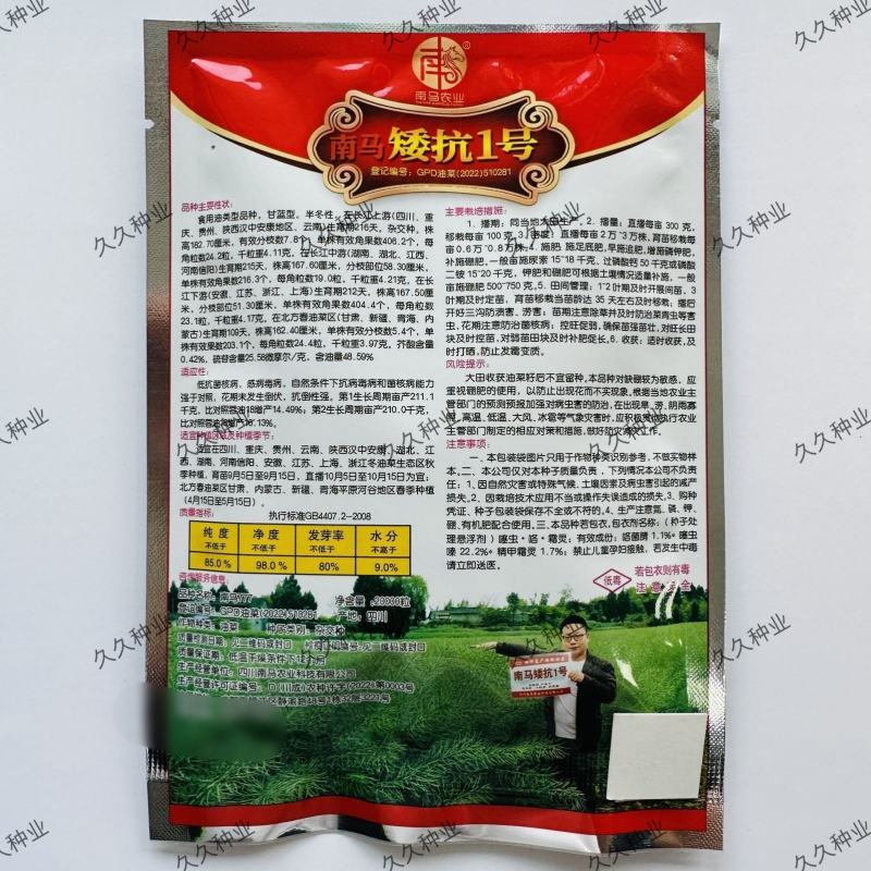 南马矮抗1号油菜种子高产高油矮杆实心抗病抗倒油菜种子