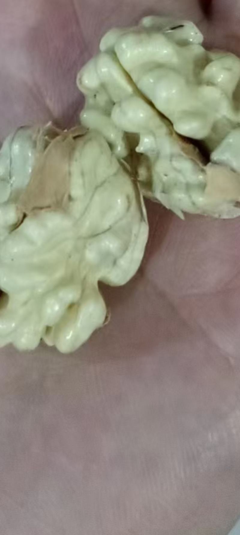 青皮核桃去皮干核桃薄皮核桃贵州山区农家核桃