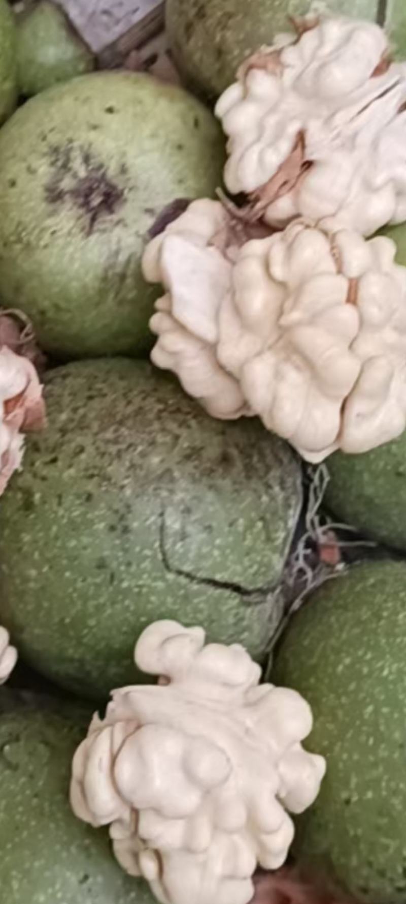 青皮核桃去皮干核桃薄皮核桃贵州山区农家核桃