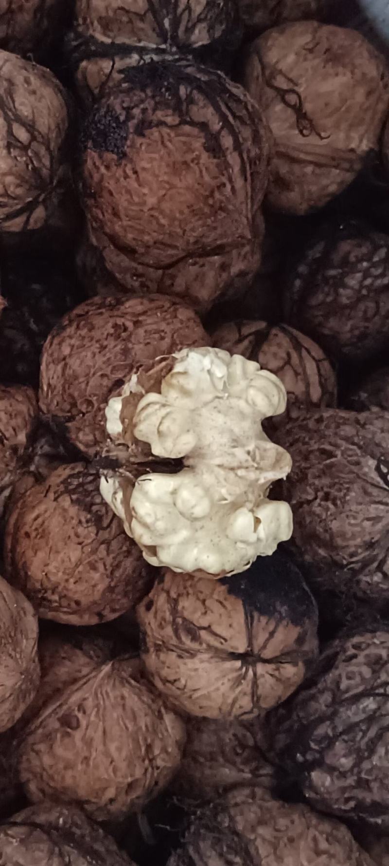 青皮核桃去皮干核桃薄皮核桃贵州山区农家核桃