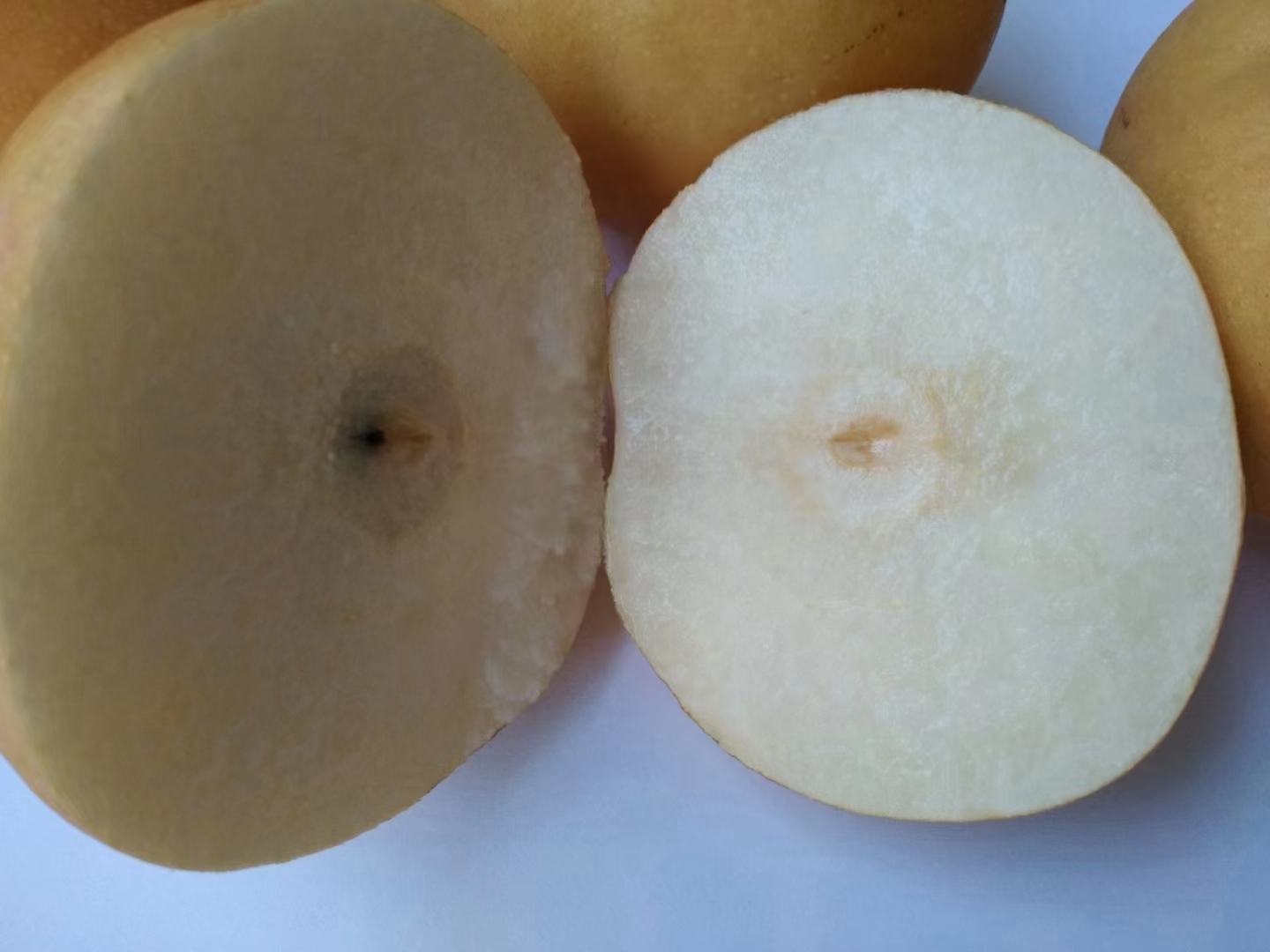 秋月梨切开果肉展示图