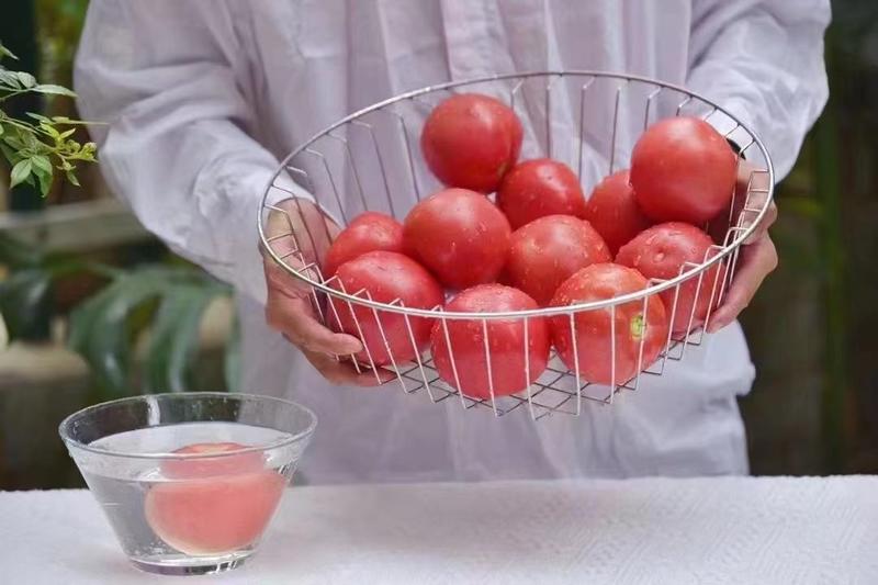 西红柿沙瓤粉果自然成熟，新鲜生吃，现摘现发