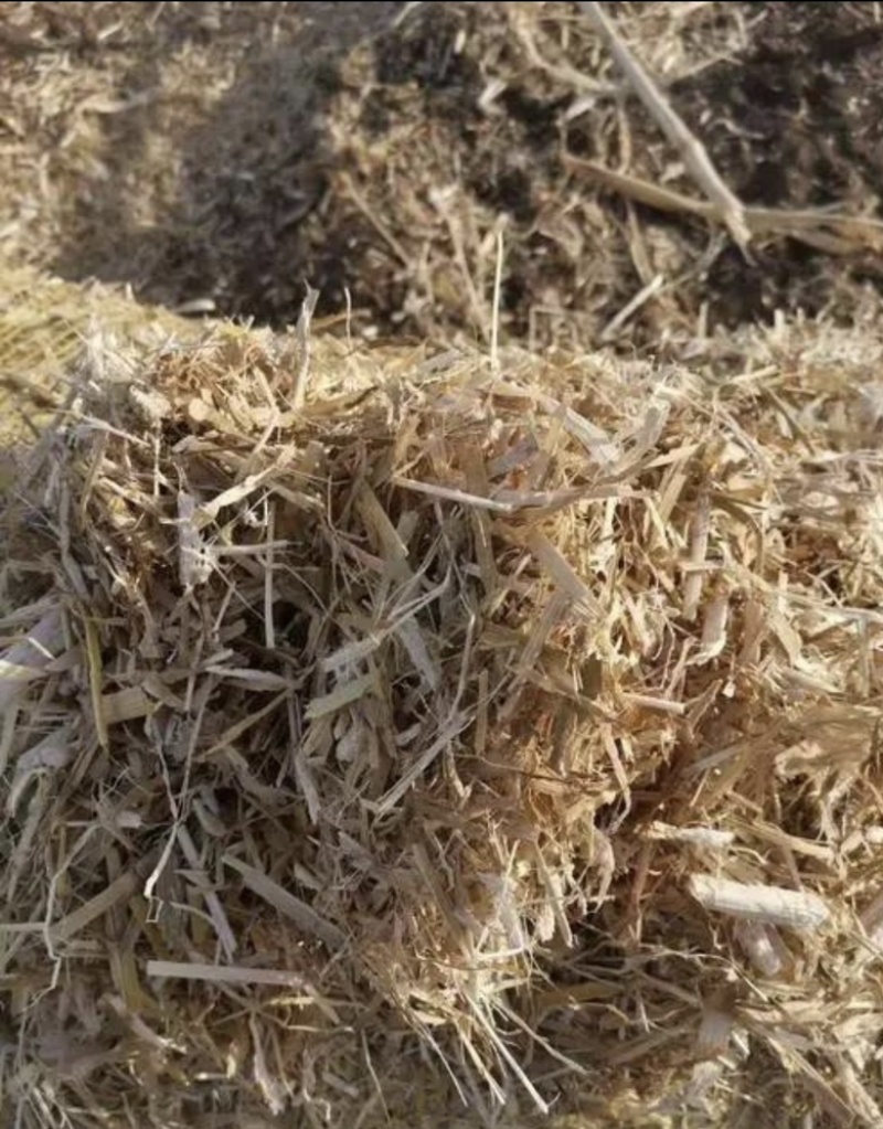 玉米秸秆，二次加工，牛，羊，马等草料