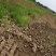 村集体土地出租
