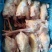 二级老母鸡，11公斤箱装的熟食专用，价格优惠，全净膛的