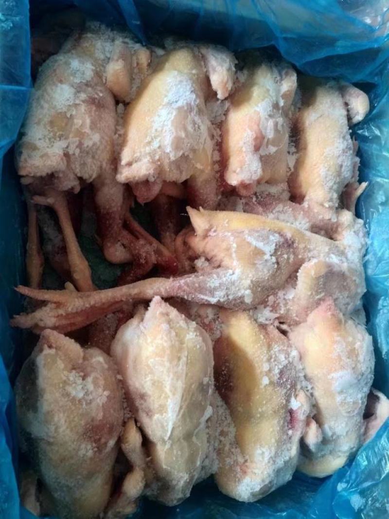 二级老母鸡，11公斤箱装的熟食专用，价格优惠，全净膛的