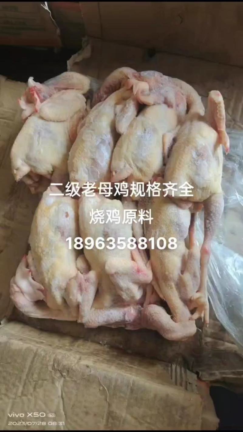 二级老母鸡，11公斤箱装的熟食专用，价格优惠，全净膛的