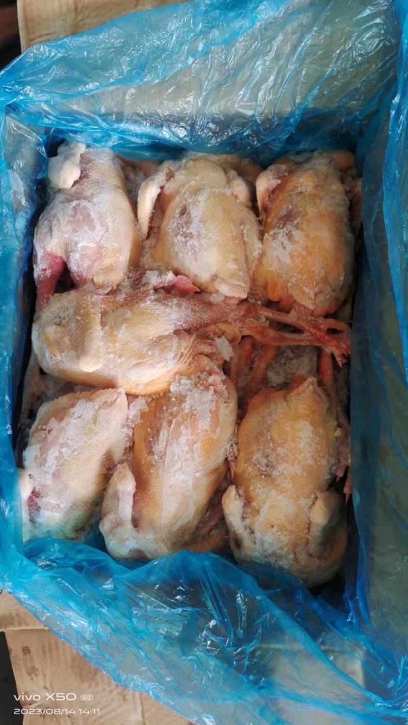 二级老母鸡，11公斤箱装的熟食专用，价格优惠，全净膛的