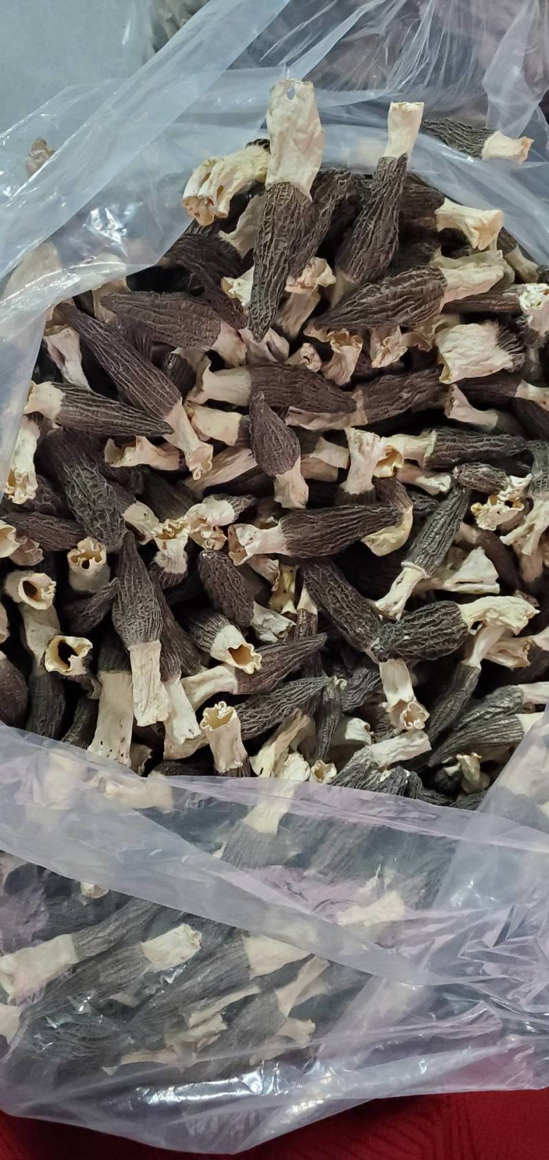 羊肚菌干品鲜货头茬电商平台货源菌煲汤质量保障