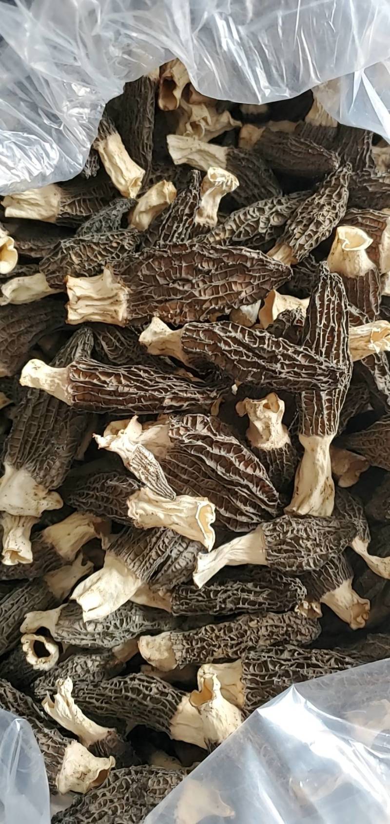 羊肚菌干品鲜货头茬电商平台货源菌煲汤质量保障