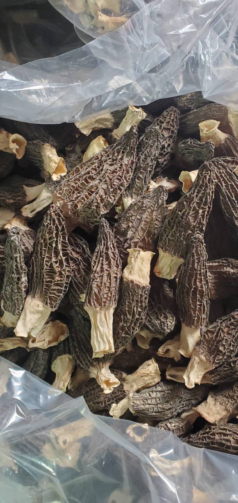 羊肚菌干品鲜货头茬电商平台货源菌煲汤质量保障